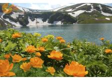 Галерея фото