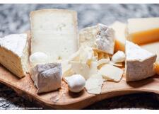 Галерея фото