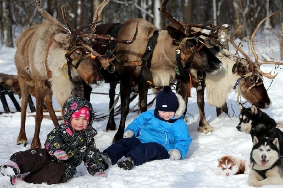 Карелия Новогодний Колорит