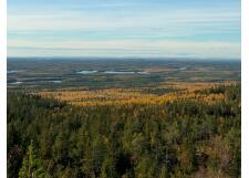 Галерея фото