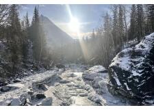 Галерея фото