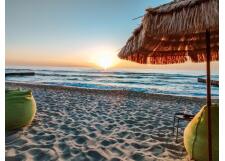 Галерея фото