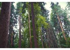 Галерея фото