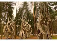 Галерея фото