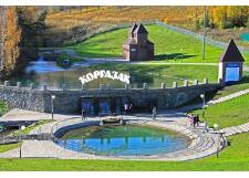 Галерея фото