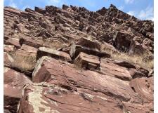 Галерея фото