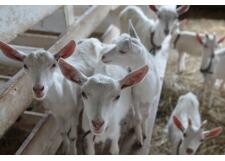 Галерея фото