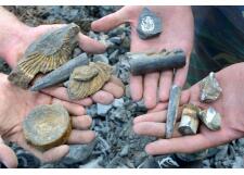 Галерея фото