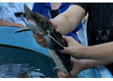 Галерея фото