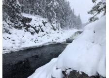 Галерея фото