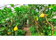 Галерея фото