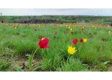 Галерея фото