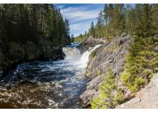 Галерея фото