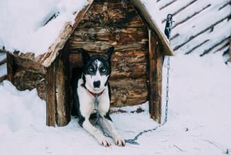 Три грани Карелии ( 3 дня + ж/д, октябрь 2025-март 2026)*