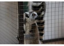 Галерея фото