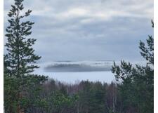 Галерея фото