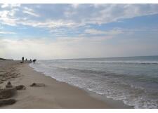 Галерея фото