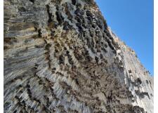 Галерея фото