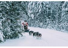 Галерея фото