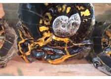 Галерея фото