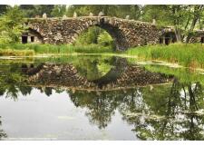 Галерея фото