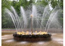 Галерея фото