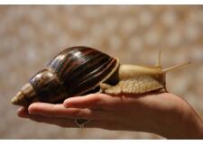 Галерея фото