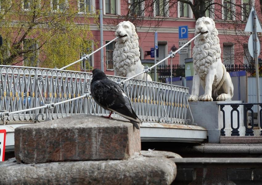 Фото львиный мост