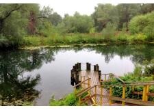 Галерея фото