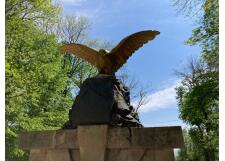 Галерея фото