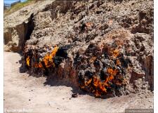 Галерея фото