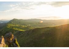 Галерея фото