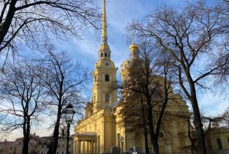 Новогодняя прогулка по Петербургу и Петергофу 2026 (4 дня + ж/д)*