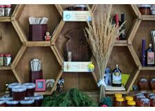 Галерея фото