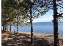 Галерея фото