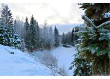 Галерея фото