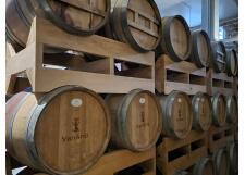 Галерея фото