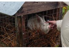 Галерея фото