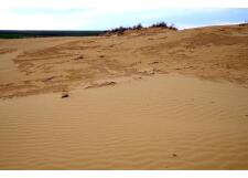 Галерея фото