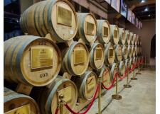 Галерея фото