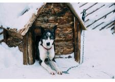 Галерея фото