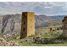 Галерея фото