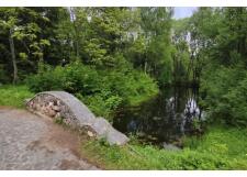 Галерея фото