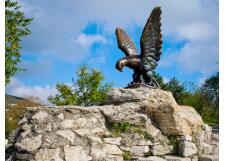 Галерея фото