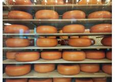 Галерея фото