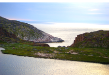 Галерея фото