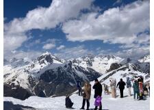 Галерея фото