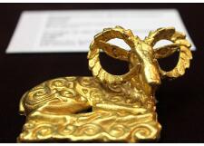 Галерея фото