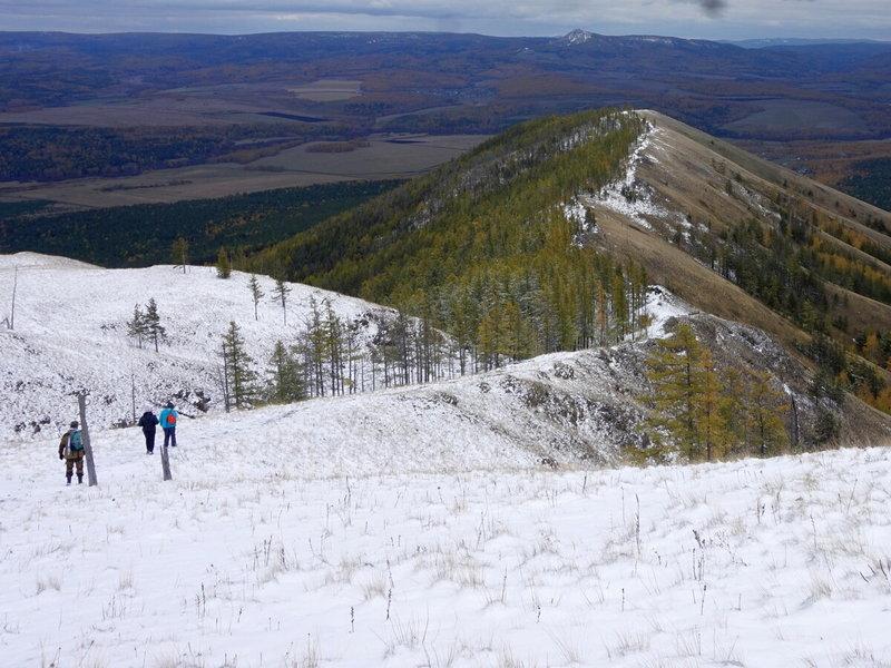 Хребет крака фото