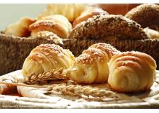 Галерея фото